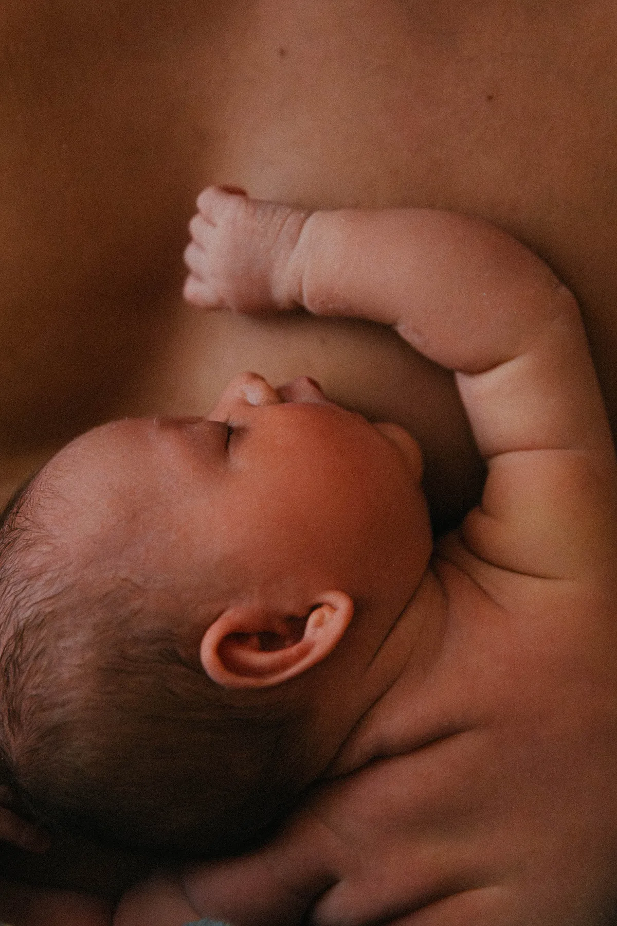 bébé