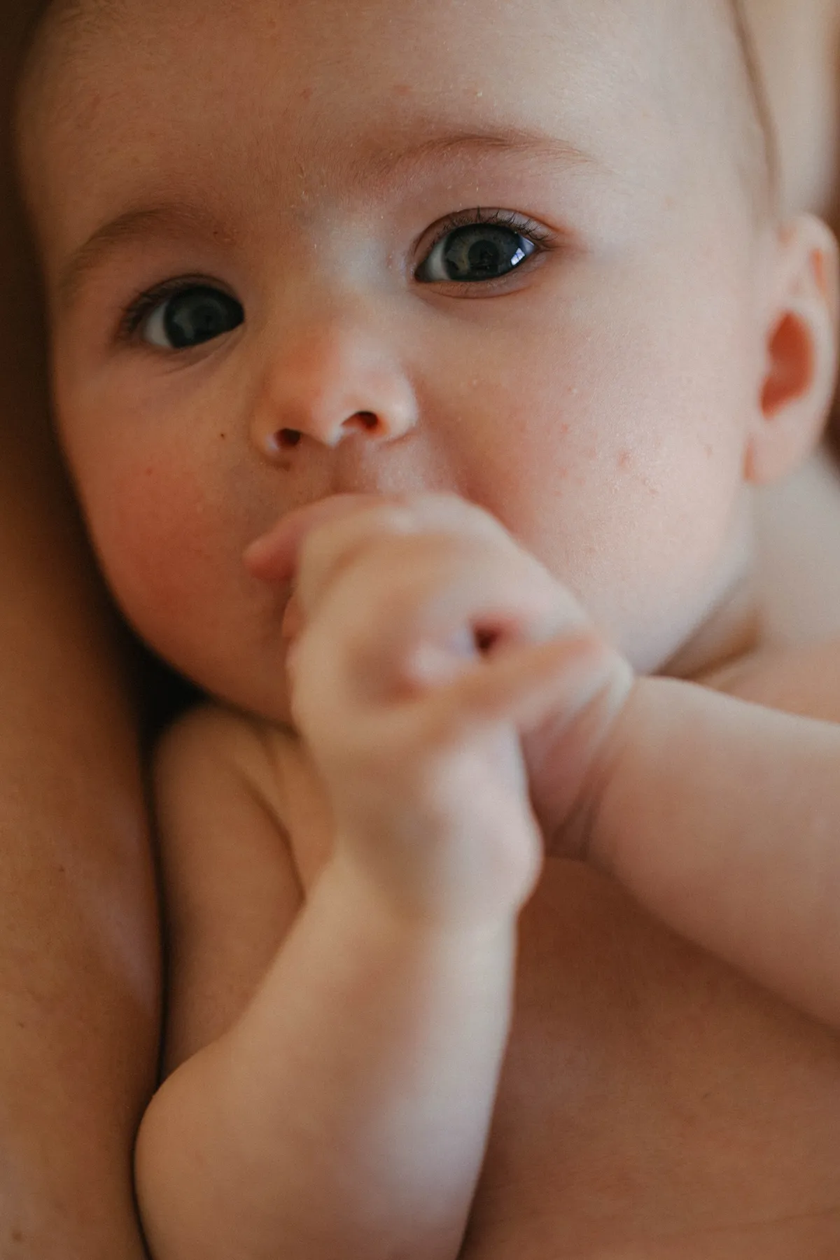 bebe