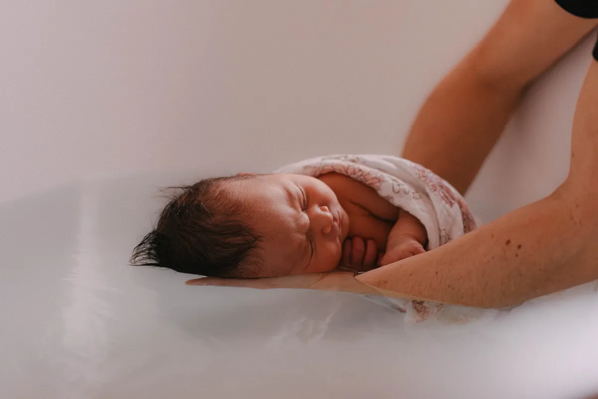 bebe