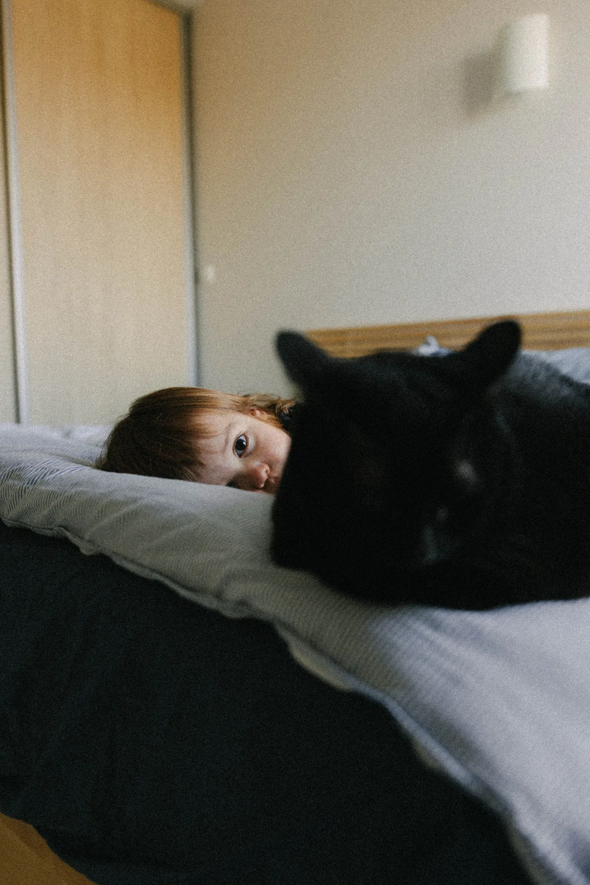 chat