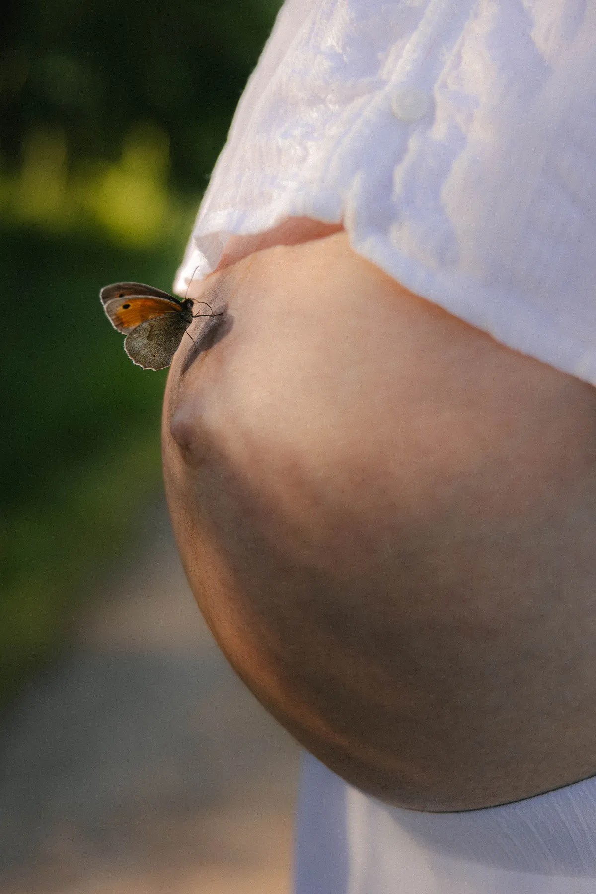 ventre-grossesse-papillon