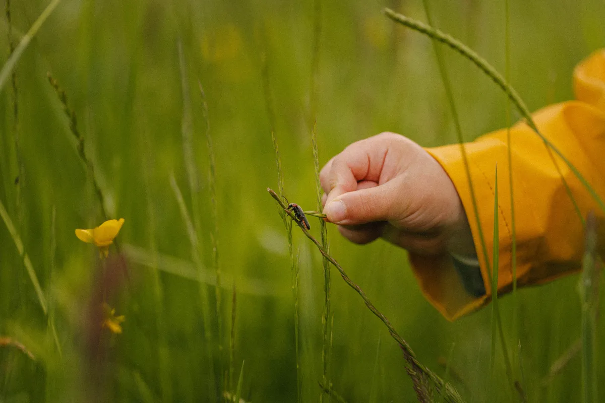 mains-enfant-nature