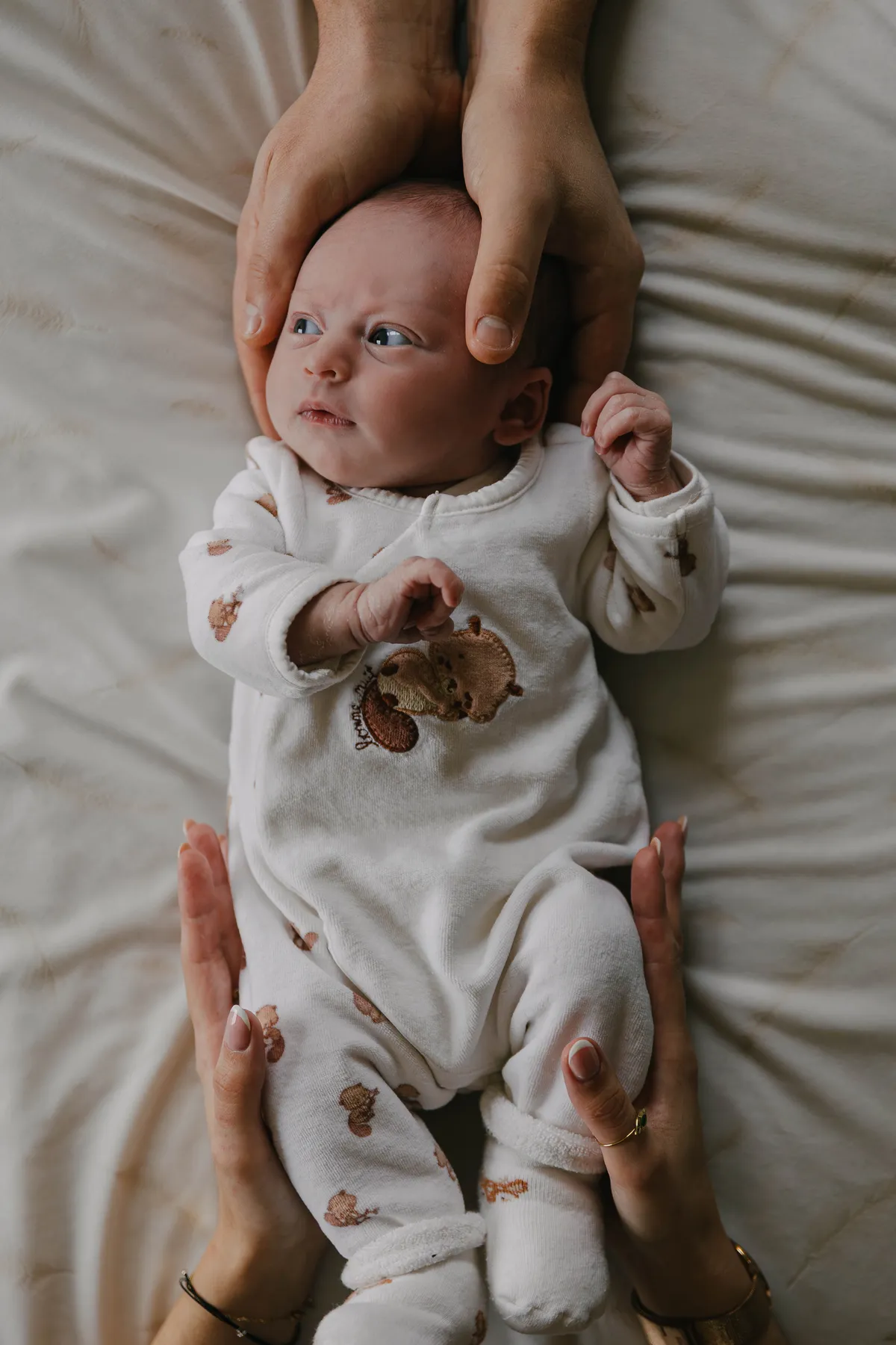 bebe