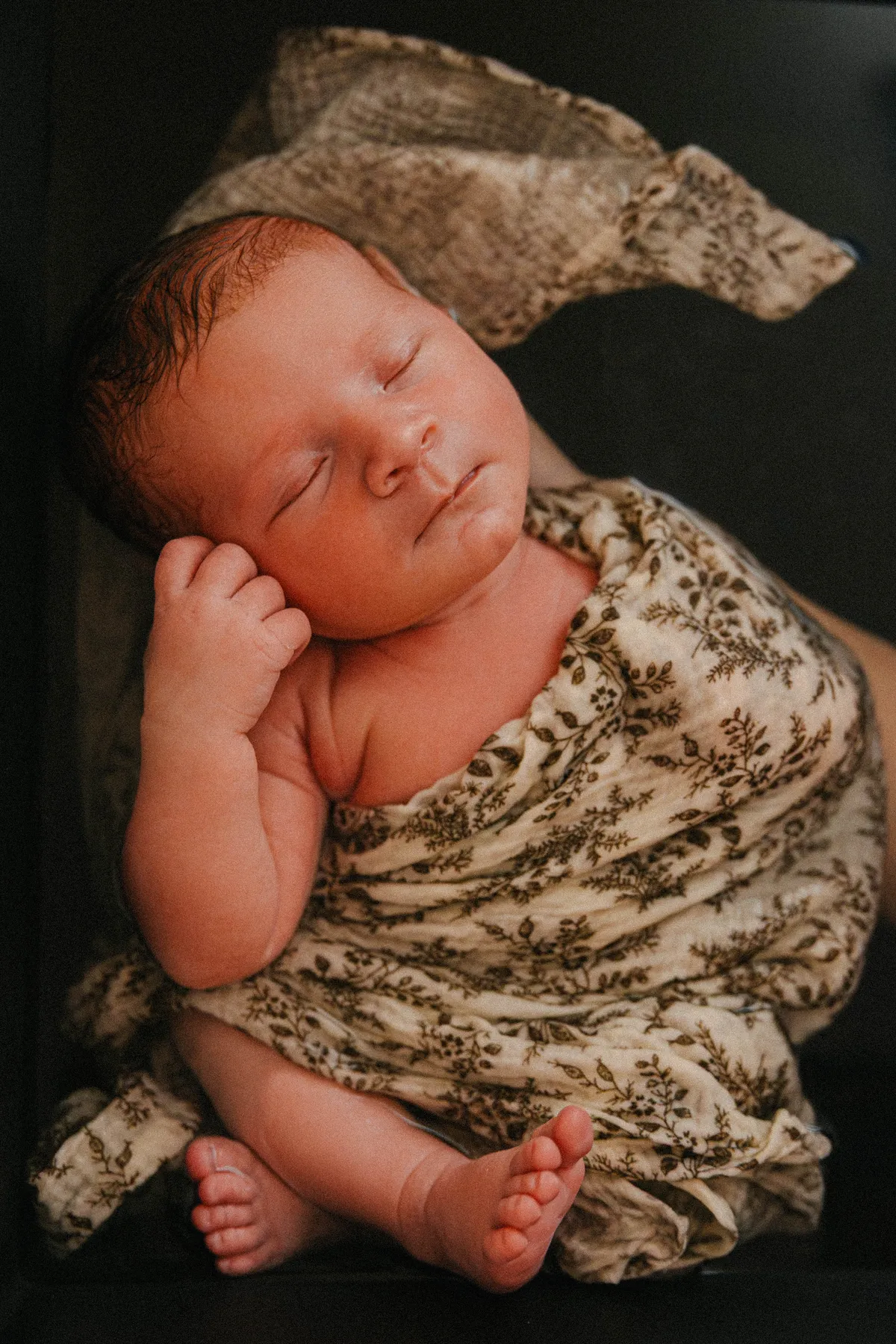 bebe