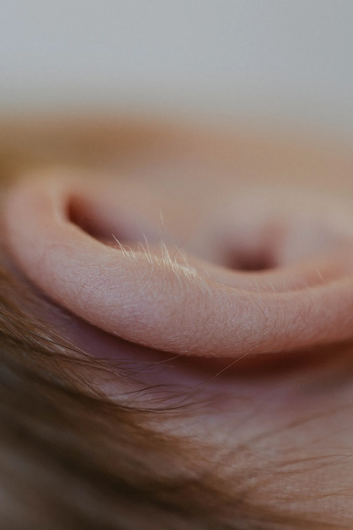 oreille-bébé