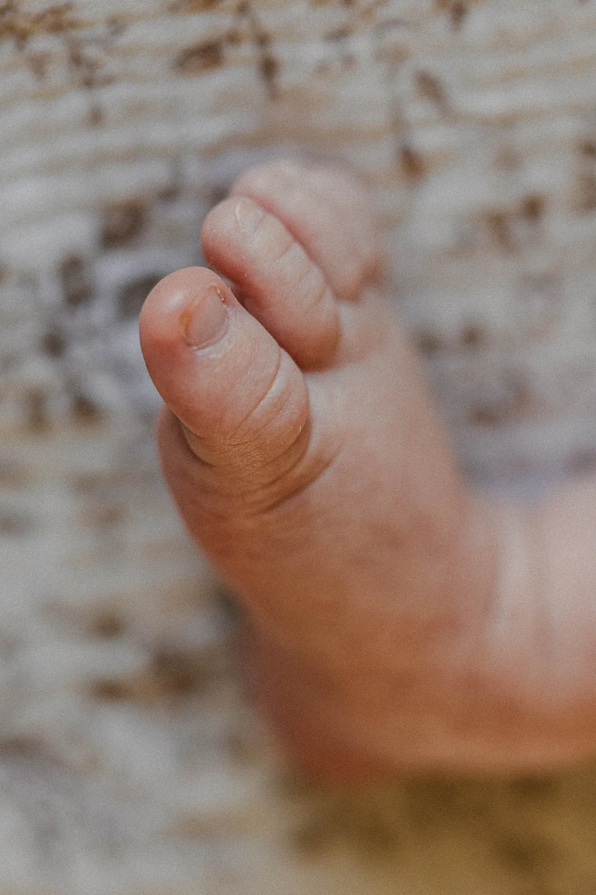 pieds-bébé